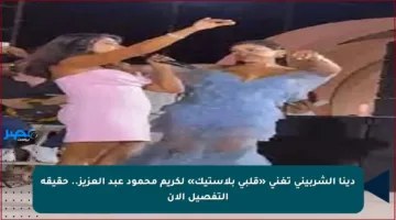 دينا الشربيني تغني «قلبي بلاستيك» لكريم محمود عبد العزيز.. حقيقة التفصيل الآن